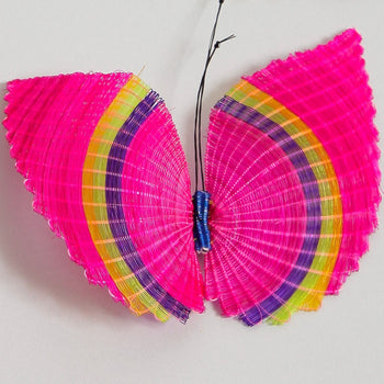 Prendedor Mariposa Ona Rari