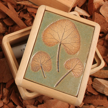 Caja Botánica Gress