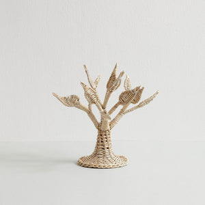 Árbol Chico Ona Tejido Boqui Pil Pil Alepúe Chico El Cocimiento