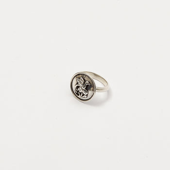 Anillo Círculo Ave Mediano Plata Ona