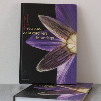 Secretos de la Cordillera de Santiago