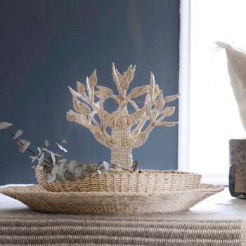 Árbol Chico Ona Tejido Boqui Pil Pil Alepúe Chico El Cocimiento