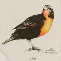 Bolsa Tela Algodón Ona